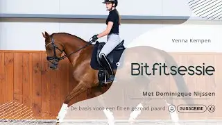 Bitfitting met Dominque Nijssen - De basis voor een fit en gezond paard