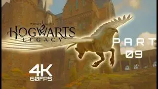 Как открыть Алохомору и ловить тварей! | Hogwarts Legacy Часть 9 4K | BlackSPY