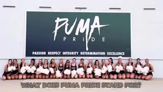PRIDE Introduction