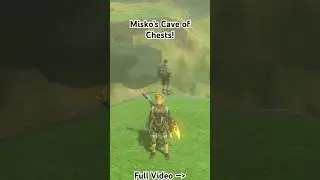 Cave of Chests #gaming #livegamingparadise #nintendo #zelda #totk #zeldatotk #games #gameshorts