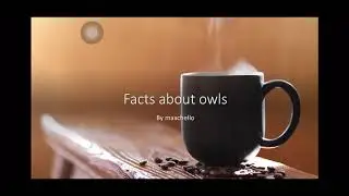 OWL ADAPTATION - Maxchello