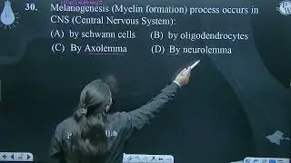 Melanogenesis (Myelin formation) process occurs in CNS (Central Nervous System):....