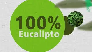 Eukaliner: do papel &agrave; embalagem