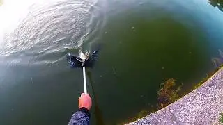 [Laghi Tor Cervara] Il papponaggio ha inizio