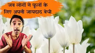 Financial Bubble Explained -  Tulip Mania in Hindi