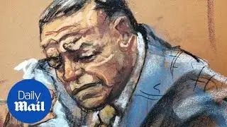 Sayoc breaks down in tears as he is sentenced to 20 years in prison