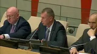 United Nations Security Council   OPCW, Ian Henderson
