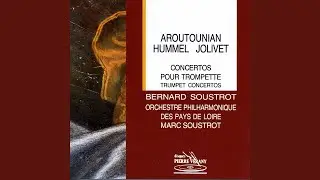 Concerto pour trompette et orchestre