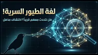 رؤية الصوت : التجربة التي غيّرت فهمنا للطبيعة