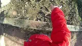 digging in the dirt
