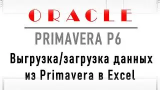Как загрузить данные из Excel в Primavera P6. Как выгрузить данные из Primavera P6 в Excel