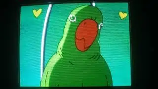 Hey Arnold - Helga's Parrot