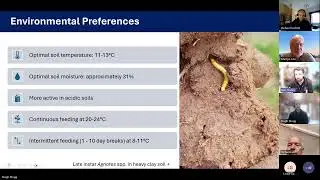 Wireworm and IPM - Field Lab Conclusions and Recommendations, March 2025