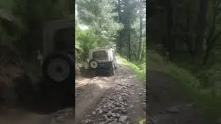 Sharan Forest Jeep Trek #sharan #jeeptrek #shorts
