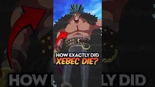 How Did Rocks D. Xebec Really Die? The Truth We Never Saw! #onepiece