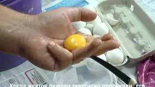 Приготовление темперы