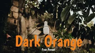 Tips Edit Foto tone kekinian di lightroom mobile part 5