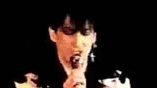 Peter Cannon video 1985