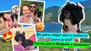 Dá para viajar com cachorro para a praia? Fomos para Ilhabela e testamos! 🐶✈️