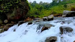 Relaxing Piano Music with Mountain River Sounds | Deep Sleep, Stress Relief & Relaxation