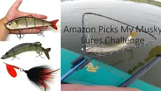 Amazon Picks My Musky Lures Challenge