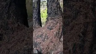 Going to the hot springs again (17)