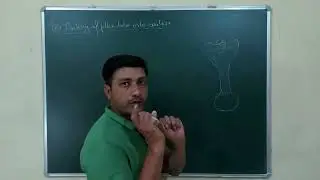 #Fertilization #flower fertilization #pollentube #pollen #ovule #neet #neet2024 #bio