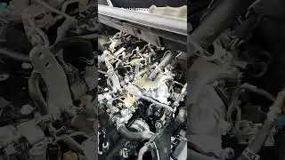1GD Toyota Hiace Van EGR Cooler Remove#shortvideo #shorts