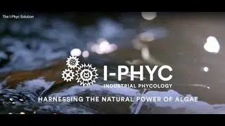 История I-Phyc &mdash; как она навсегда меняет очистку сточных вод