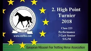 Missouri Fox Trotter EU H.P. Turnier II. 2018-3Gait Performance LK I