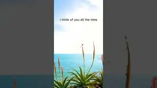 Matt Mems - Ride Away [Vertical Visualizer]
