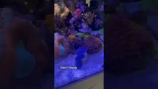 Did you know this about clams??