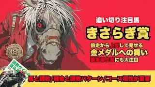 【きさらぎ賞2026/調教だけで買いたい馬】滞在ラフターラインズの終い時計が魅力/キャリア2戦目コレオシークエンスは前走より上昇して連勝を睨む/エムズビギンはポリ/安定ゾロアストロ【追い切り】