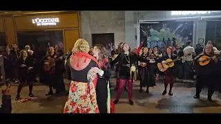 Tuna Femenina Universitaria de Sevilla. La Ronda - XLIX Certamen de tunas DUS