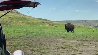 Sage Creek Campground Visitor