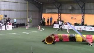 Some of Silesian Open, Austrian & Hungarian tryouts
