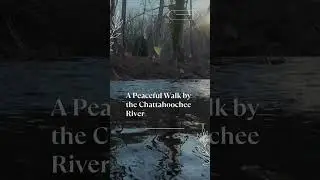 Relaxing POV River Walk | Gentle Water Sounds ASMR 🌿 #shorts