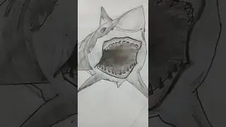 new pencil art #trending #shorts #howto #shark #drawing #art #tiktok #cartoon #subscribe