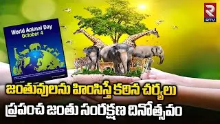 World Animal Welfare Day 2023 | Unknown Facts about World Animal Day | జంతు సంరక్షణే ప్రధానం | RTV