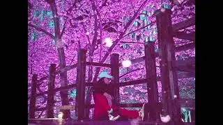 Cherry Blossom Love ❤️ Любовь цветущей вишни 🌸 (romantic, dream pop, ballade)