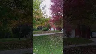 🍁 