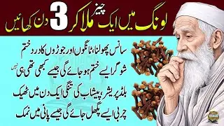 Motivational Islamic Quotes | Quotes About life | Best Urdu Quotes | Rumi Quotes | Hazrat Ali Quotes