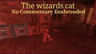 Finding the wizards Cat (No commentary Enshrouded)