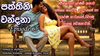 ❤️ Paththini Wandana 65 &ndash; පත්තිනි වන්දනා | Sinhala Novel Love Story |  @VishNovels ❤️