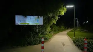 3am Walk | BGC Greenway Linear Park 2024