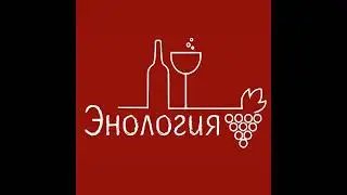 В Израиле восстановили вино царя Давида! 🍷🎈 Без ученых не обошлось 👾