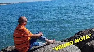 Bruno Mota - MIRANDELA OLHOS VERDES 2025