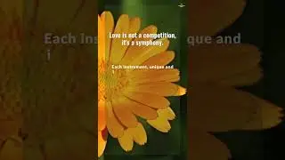🌺 Whispers of Love - Love Quotes 🌺 PT4 #motivation #love #lovepoem #lovequotes #lovepoetry #whisper