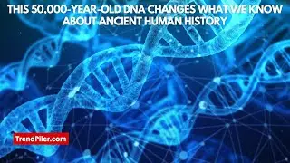 This 50,000 year old DNA changes what we know about ancient human history