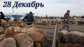28/12/2025 СОКУЛУК МАЛ БАЗАРЫ